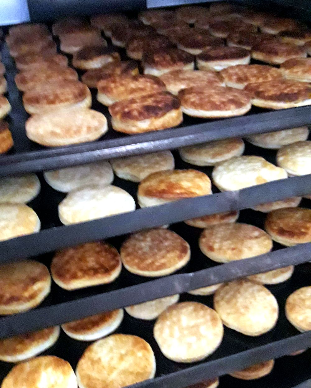 Bandejas de tapas de hojarasca recién horneadas en la fábrica Yolita