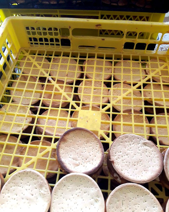 Tapas de hojarasca en una caja plástica